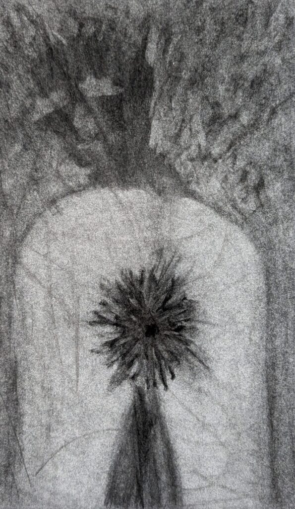 Charcoal drawing of a butthole